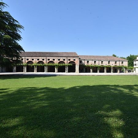 Tenuta Le Risare Bed and Breakfast Campo San Martino Eksteriør billede