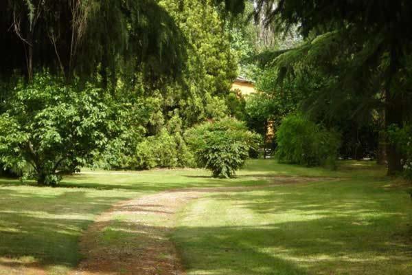 Tenuta Le Risare Bed and Breakfast Campo San Martino Eksteriør billede